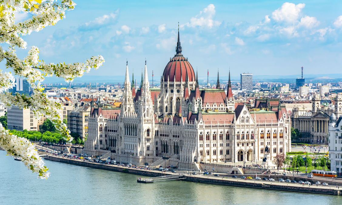 BIC Country Report on Hungary 2024