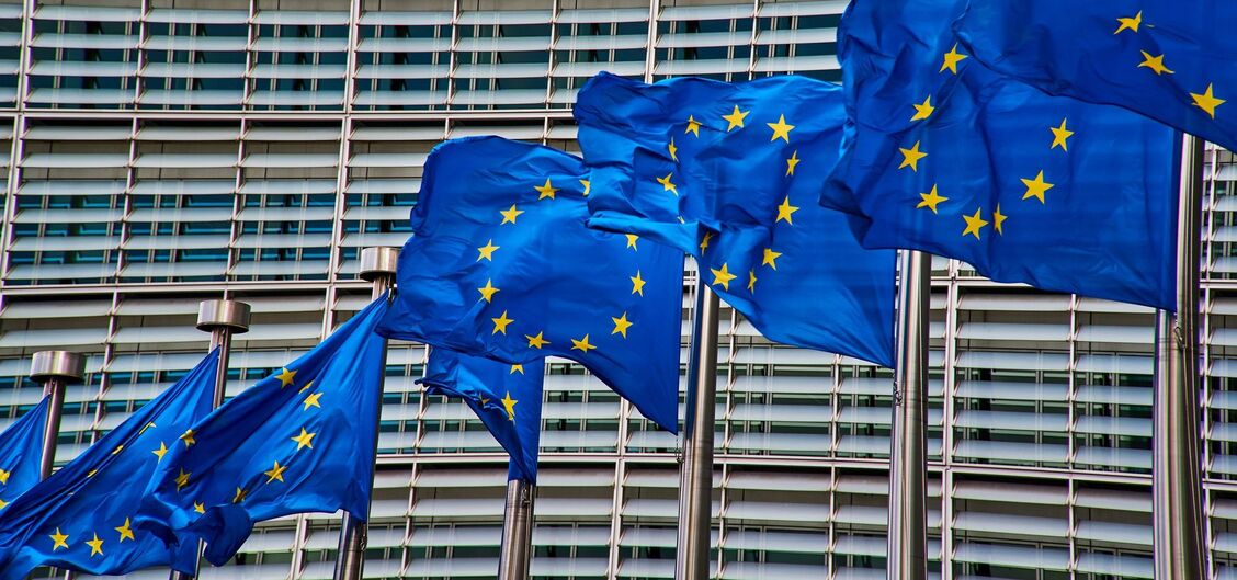 BIC position on upcoming EU Bioeconomy Strategy 2025