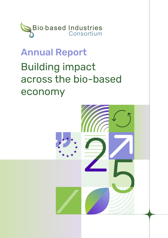 BIC Annual Report 2025