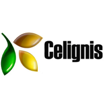 Logo Celignis