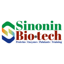 Logo Sinonin
