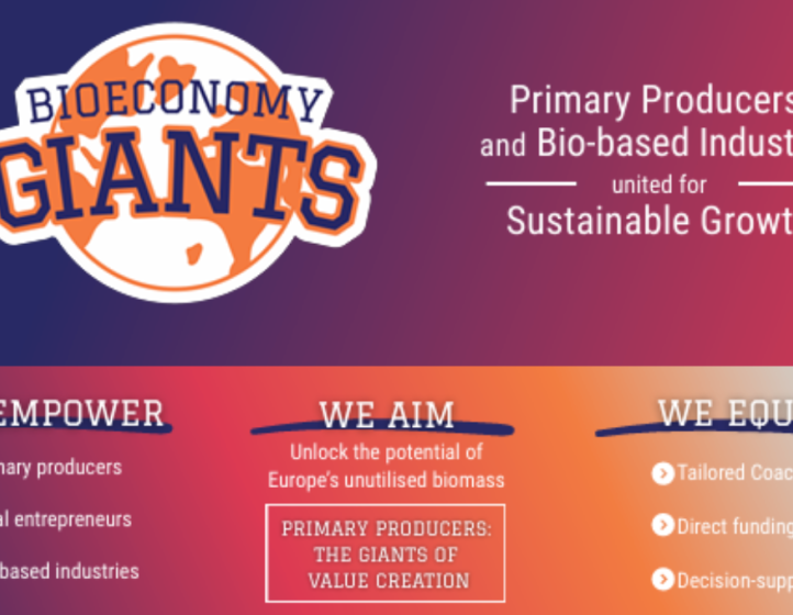 Bioeconomy Giants Open Calls