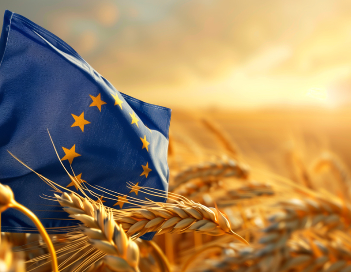 safeguard agriculture and the bioeconomy in Horizon Europe 2028–2034